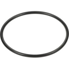 Spicer Dana Back-Up Ring  3019943X1N