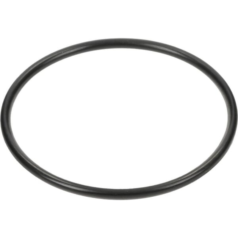 Spicer Dana Back-Up Ring  3019943X1N