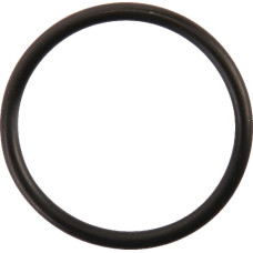 Carraro O Ring gredzens 028171