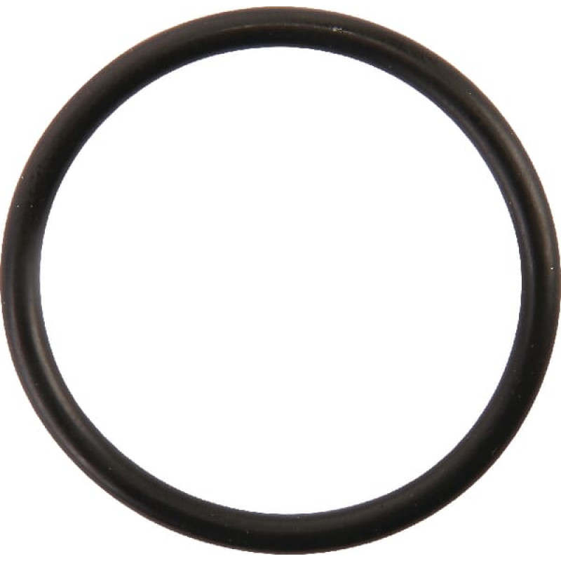 Carraro O-Ring  028171