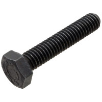 Carraro Screw  020754