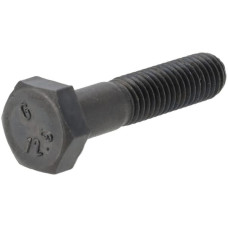 ZF Hexagon screw  0636010665