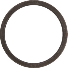 Spicer Dana Steel Ring  7600600501