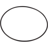 Carraro O-ring  028554