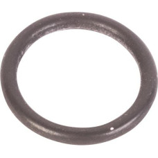 ZF Gasket  0634313164