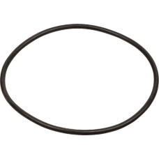 Carraro O-Ring  028613