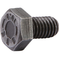 Carraro Screw  020485