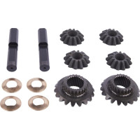 Carraro Satellite-planetary kit  066185