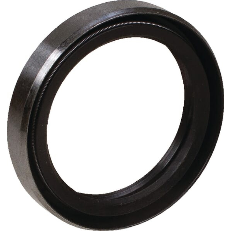 Kuhn Oil seal   82013242