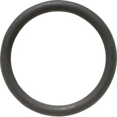 Carraro O-ring  642218