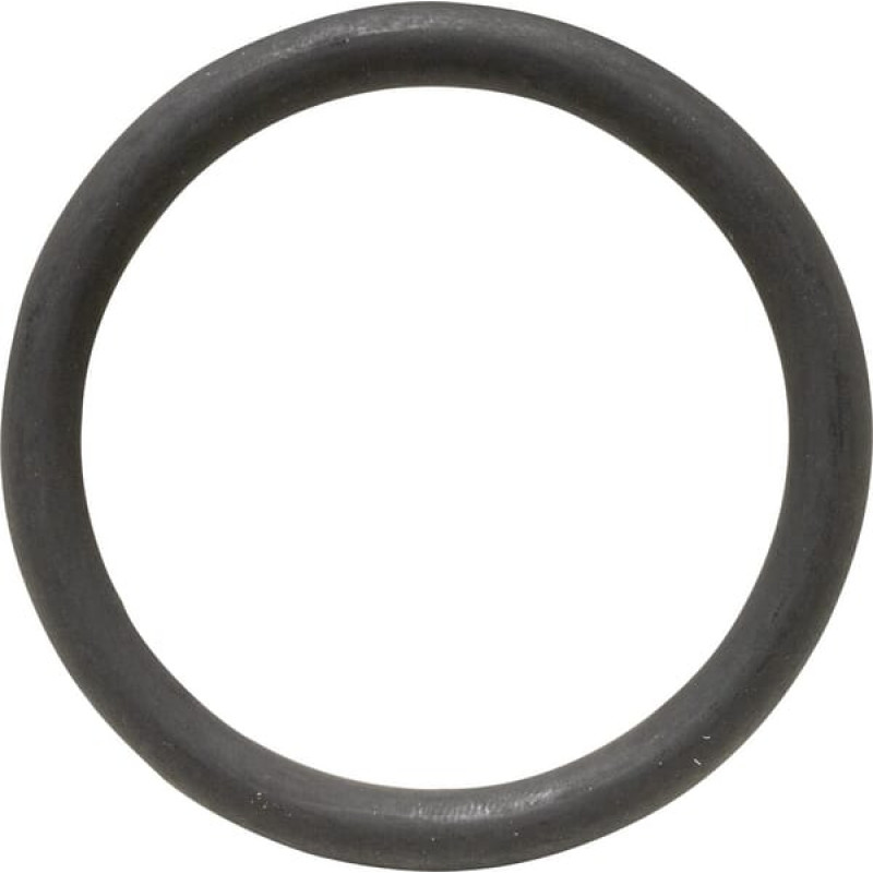 Carraro O-ring  642218