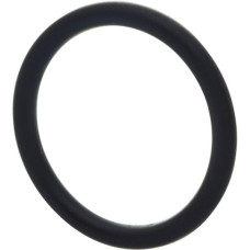 Carraro O-ring  028531