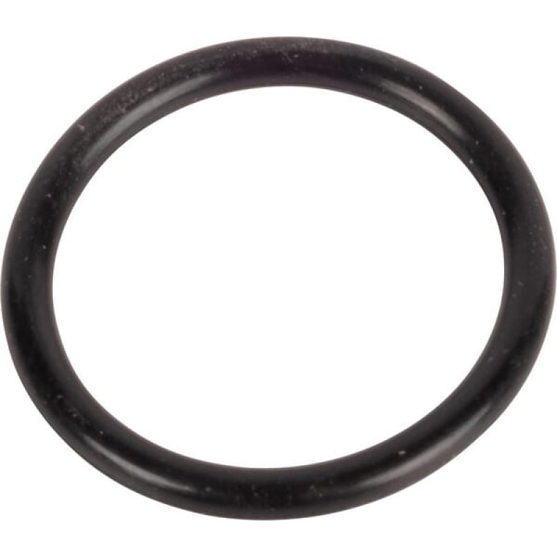 Carraro O-ring  028129