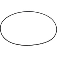 Carraro O-ring  028610