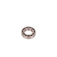 Carraro Ball bearings (1 ring)  025735