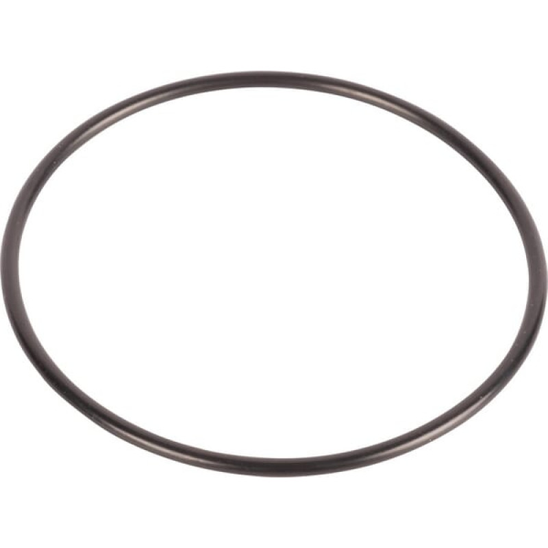 Carraro O-ring  033029