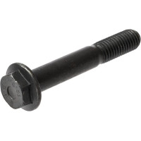 Carraro Screw  126334