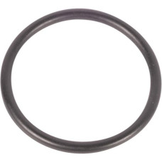 Carraro O-ring  028600