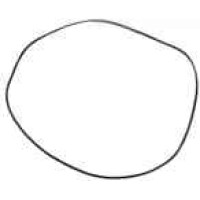 John Deere Alternative R126399 O veida gredzens