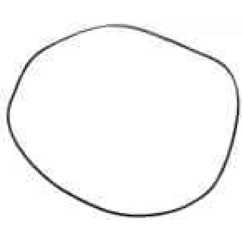 John Deere Alternative Уплотнительное кольцо R126399