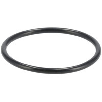 ZF O-ring  0634304654