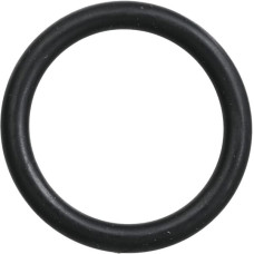 Carraro O-ring  028118