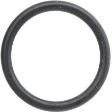 Carraro O Ring gredzens 028189