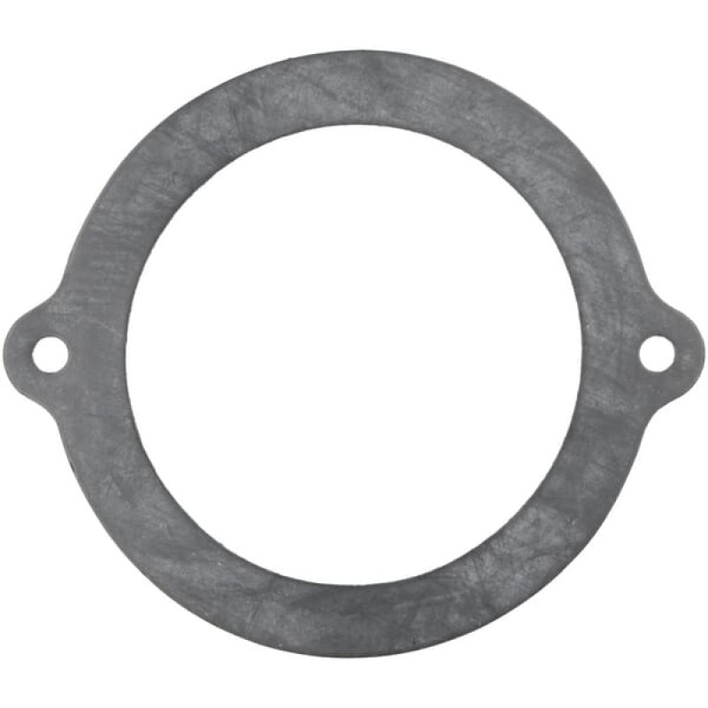 ZF Sealing ring  0501303920