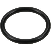 Carraro O-ring   028216