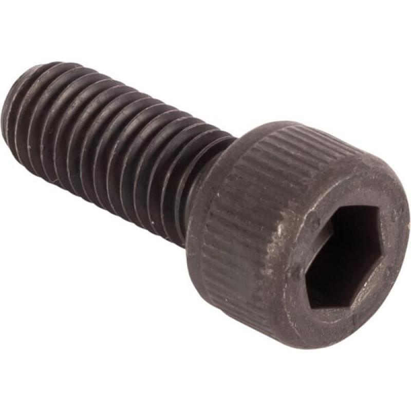 Carraro Screw  021409