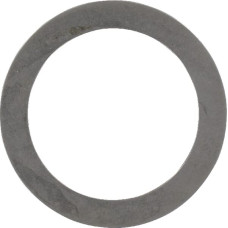 Carraro Seal 55x41x1mm  033468