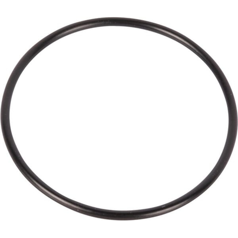 Carraro O-ring  028527