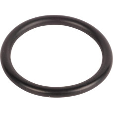 Carraro O-ring  028121