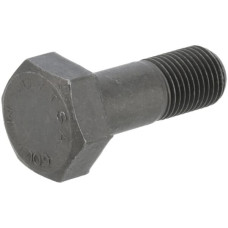 ZF Hexagon screw  0736020084