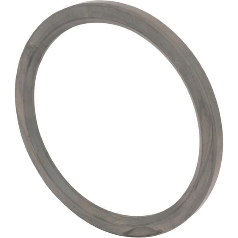 Spicer Dana Ring  245955N