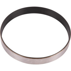 Spicer Dana Ring  3429168M1N