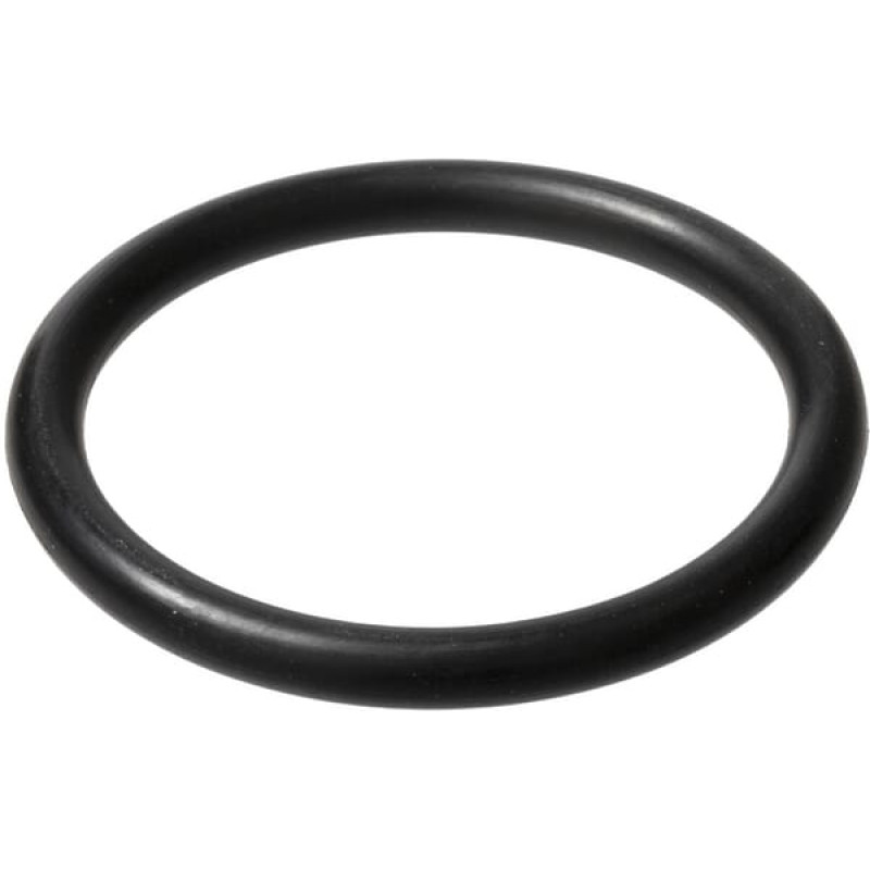 Carraro O-ring  028134