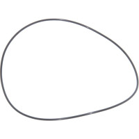 Carraro O-ring  028103