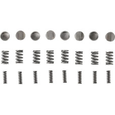 Walterscheid Agraset radial pin kit (standard springs)  AG106