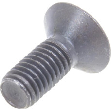 Carraro Screw  020490