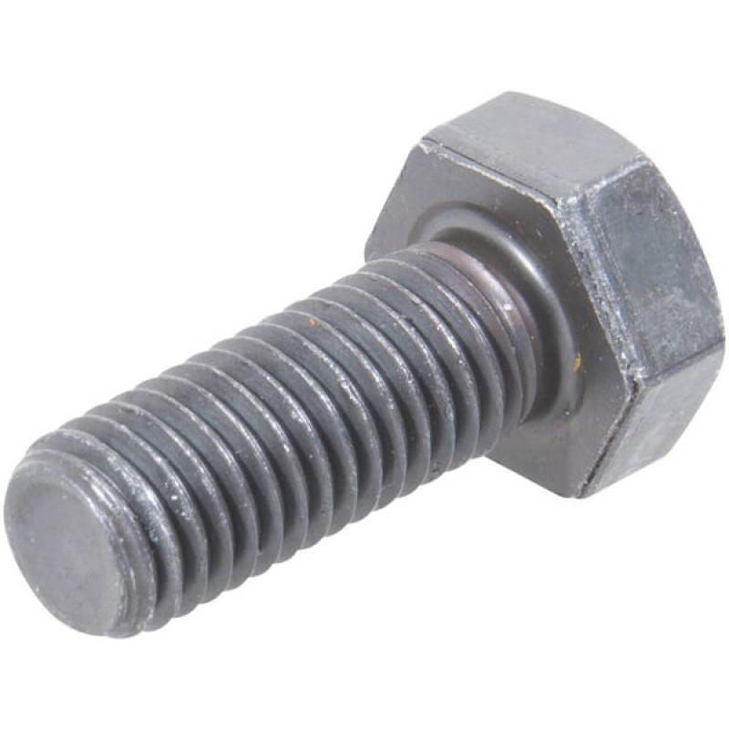 Carraro Screw  126922