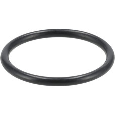 ZF O-ring  0634303266