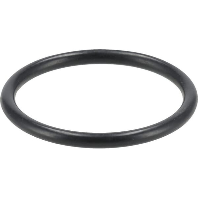 ZF O-ring  0634303266