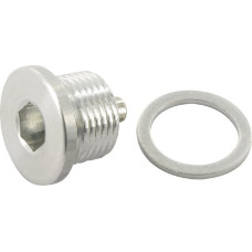 Comer Magnetic plug plan.gear 3/8 BSP  PD99510107100