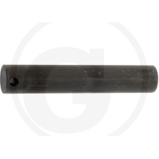 ZF Diferenciāļa ass 20x110,5 mm  L60104, F168302020180