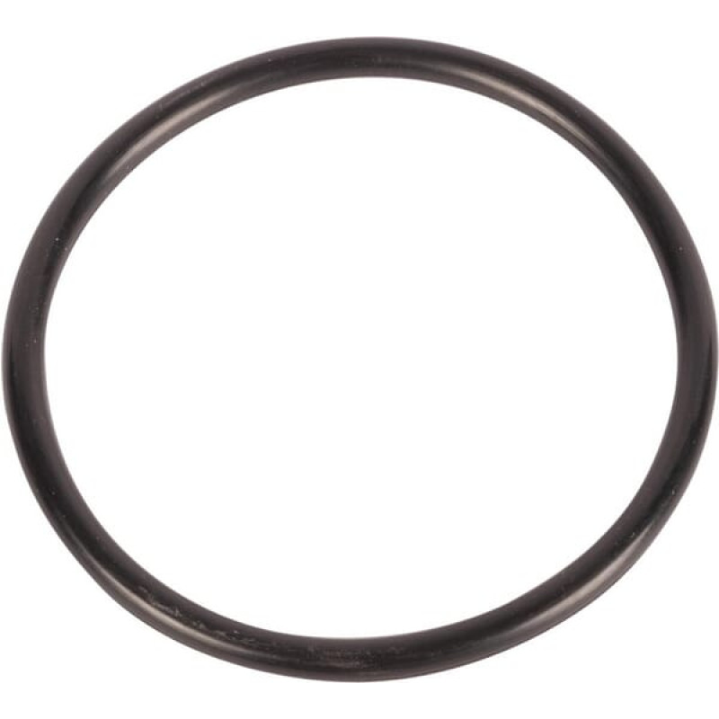 Carraro O-ring  028557