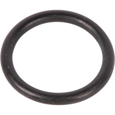 Carraro O Ring gredzens 028158