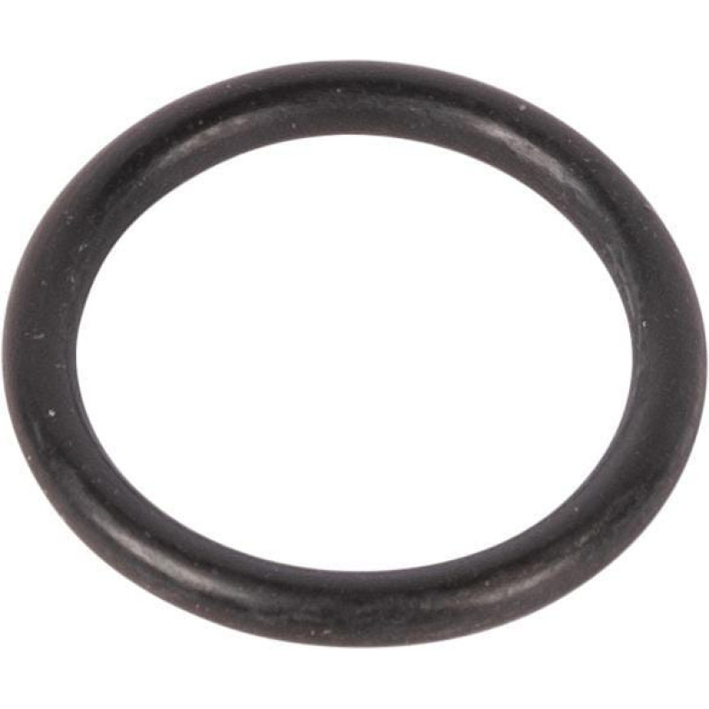 Carraro O Ring gredzens 028158