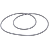 Carraro O-ring  028568