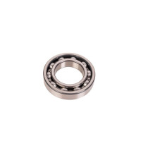 Carraro Ball bearings  025811